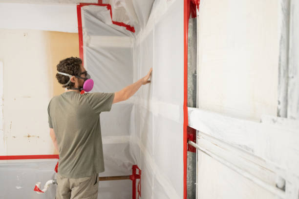 Mold Remediation for Vacation Homes in Orleans, VT