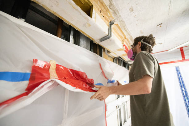 Best Attic Mold Removal  in Orleans, VT