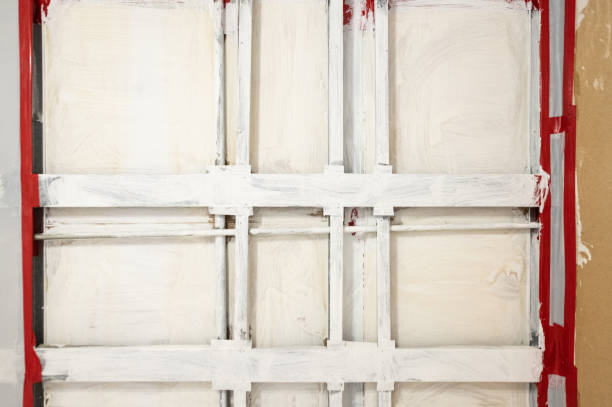 Best Environmental Consulting for Mold Prevention  in Orleans, VT