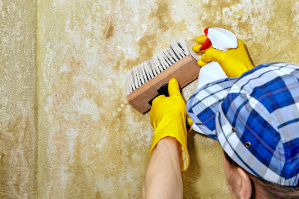 Best Indoor Air Quality Assessment  in Orleans, VT