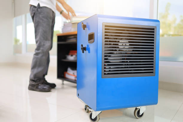 Best Mold Removal for HVAC Installations  in Orleans, VT