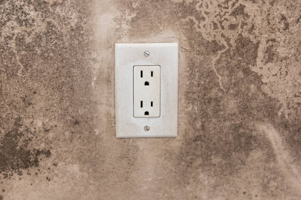 Best Real Estate Mold Inspection  in Orleans, VT