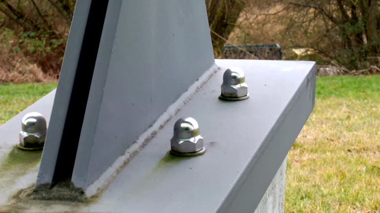Best Black Mold Removal  in Orleans, VT