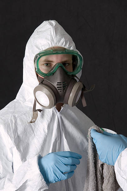 Best Mold Damage Restoration  in Orleans, VT